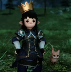 FFXIV Pilgrim’s Traverse Guide — How to Clear the Deep Dungeon Solo